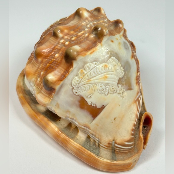 Vintage Hand Carved Cameo Victorian Left Facing Natural Large Conch Shell - Picture 8 of 10